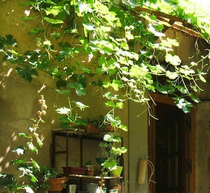 Hotel La Vigne Bleue Olonzac Exterior foto